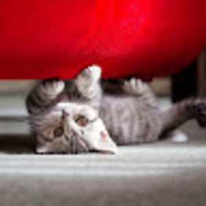 Meet your Posher, Mary rayne